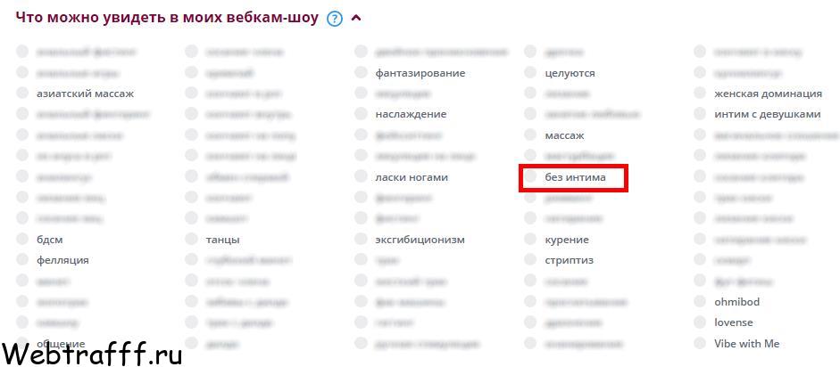 как работать вебкам моделью без интима
