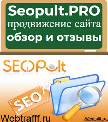 сервис seopult