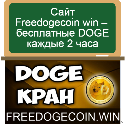 Freedogecoin win