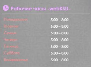 Заработок в вебкам сайте Bongacams 2026