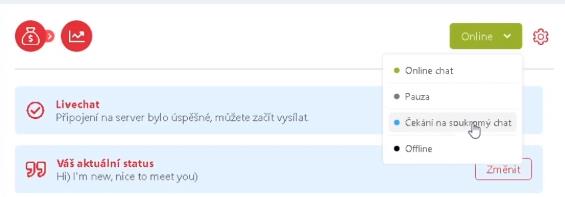 Видеочат Livechat cz - обзор сайта