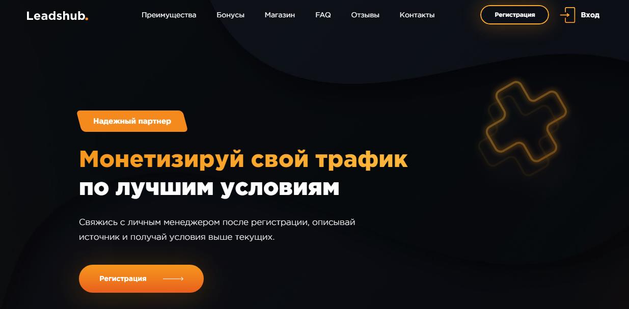Leadshub монетизация
